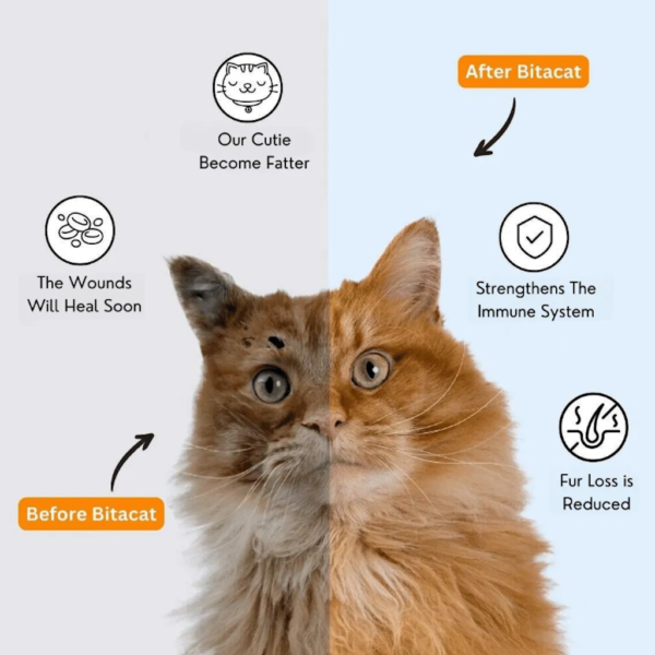 Bitacat Multivitamin