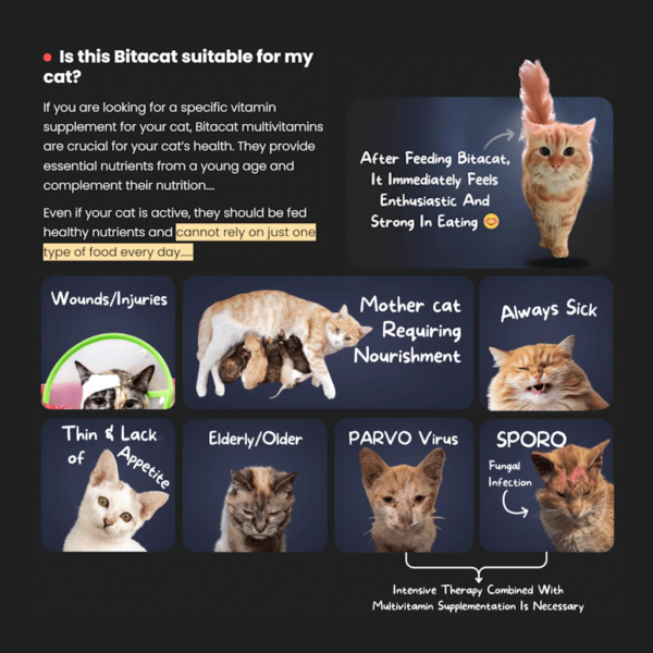 Bitacat Multivitamin