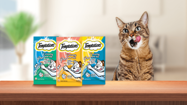 Temptations Creamy Puree Wet Cat Food